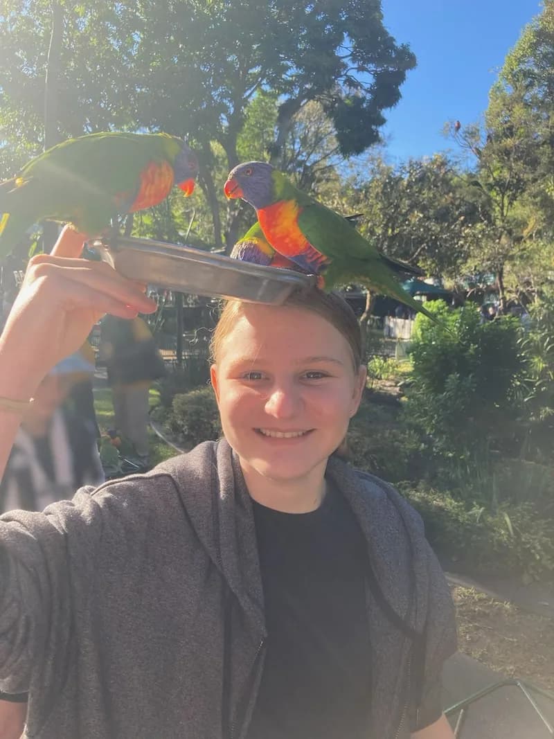 A child holding a dish of bird food with lorikeets eating from the dish.