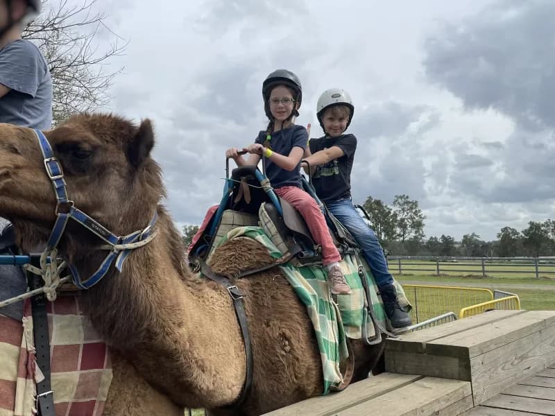 Two children, wearing helmets, sitting on the back of a camel, looking at the viewer.