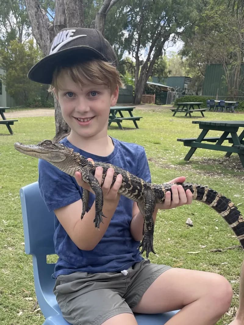 A child, sitting in a chair in an outdoor grassed area, holding a baby crocodile, looking at the viewer.