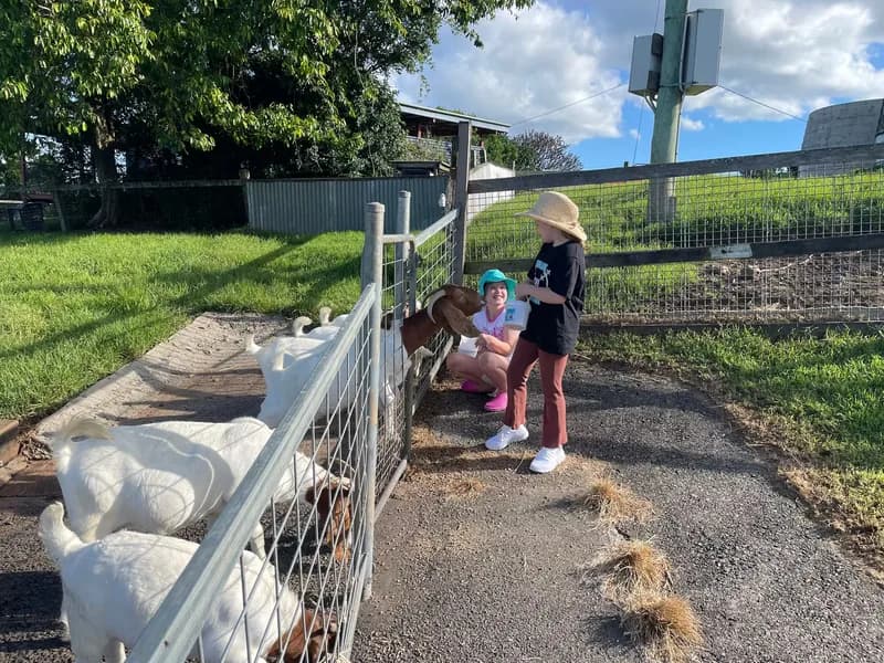 Two girls, one crouching and one standing, on one side of a wire fence, feeding goats on the other side.