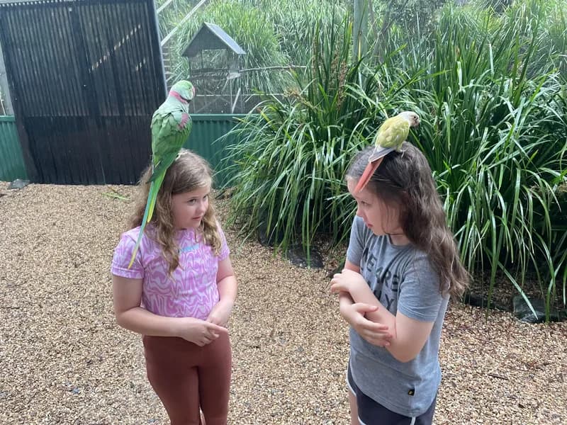 Two children, standing in a large nature enclosure, with large parrots sitting on their heads, appearing nervous and looking at each other.