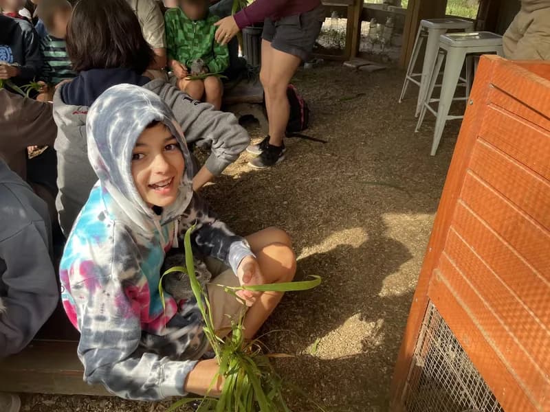 A child, sitting on a log among a group of people, with a guinea pig on their lap, using grass to feed it, while looking at the viewer.