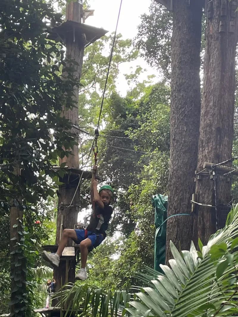 A child, wearing a helmet and safety harness, riding a zipline between trees.