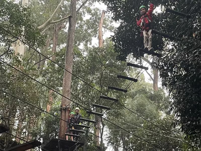 An adult and 2 children, wearing helmets and safety harnesses, standing on an obstacle course-style rope bridge suspended between 2 trees, while looking at the viewer.